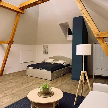 דירה U Hodinare מיקולוב